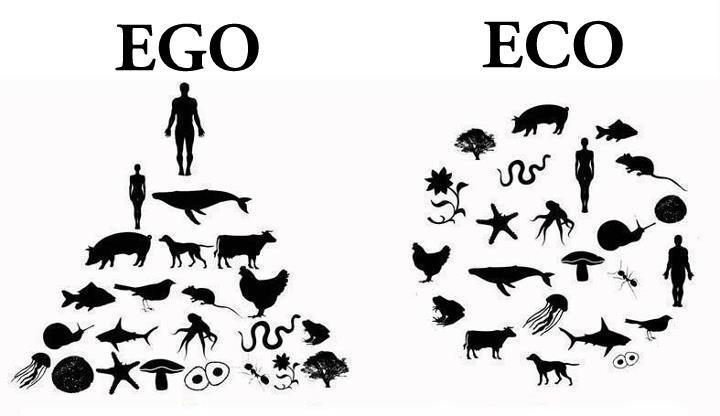 Ego-2-Eco
