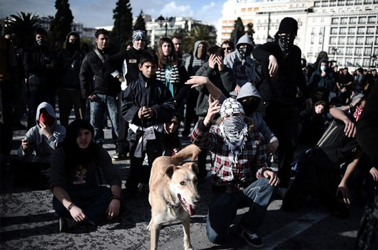 dog-with-rioters