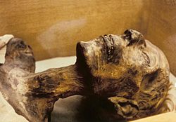 Ramses II.aren momia